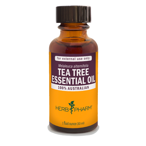 TEA TREE ESSENTIAL OIL 1 fl oz