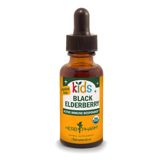 KIDS BLACK ELDERBERRY ALCOHOL FREE 1 fl oz