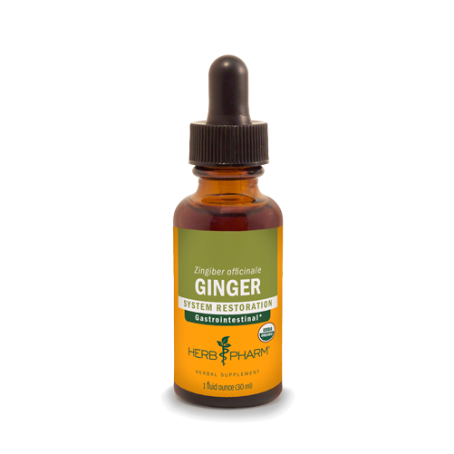 GINGER 1 fl oz