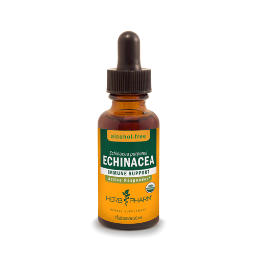 ECHINACEA ALCOHOL FREE 1 fl oz