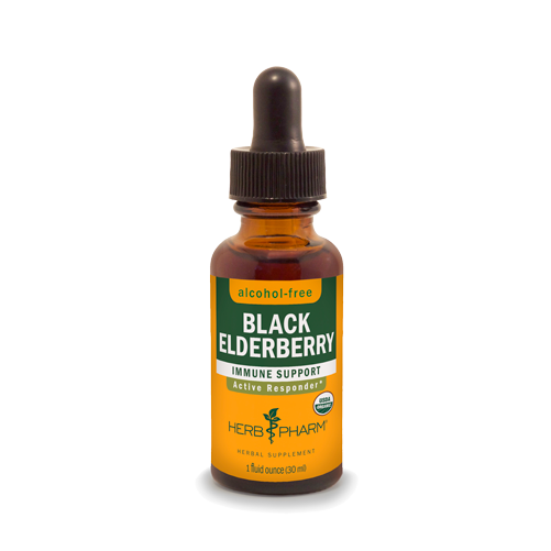 BLACK ELDERBERRY ALCOHOL FREE 1 fl oz