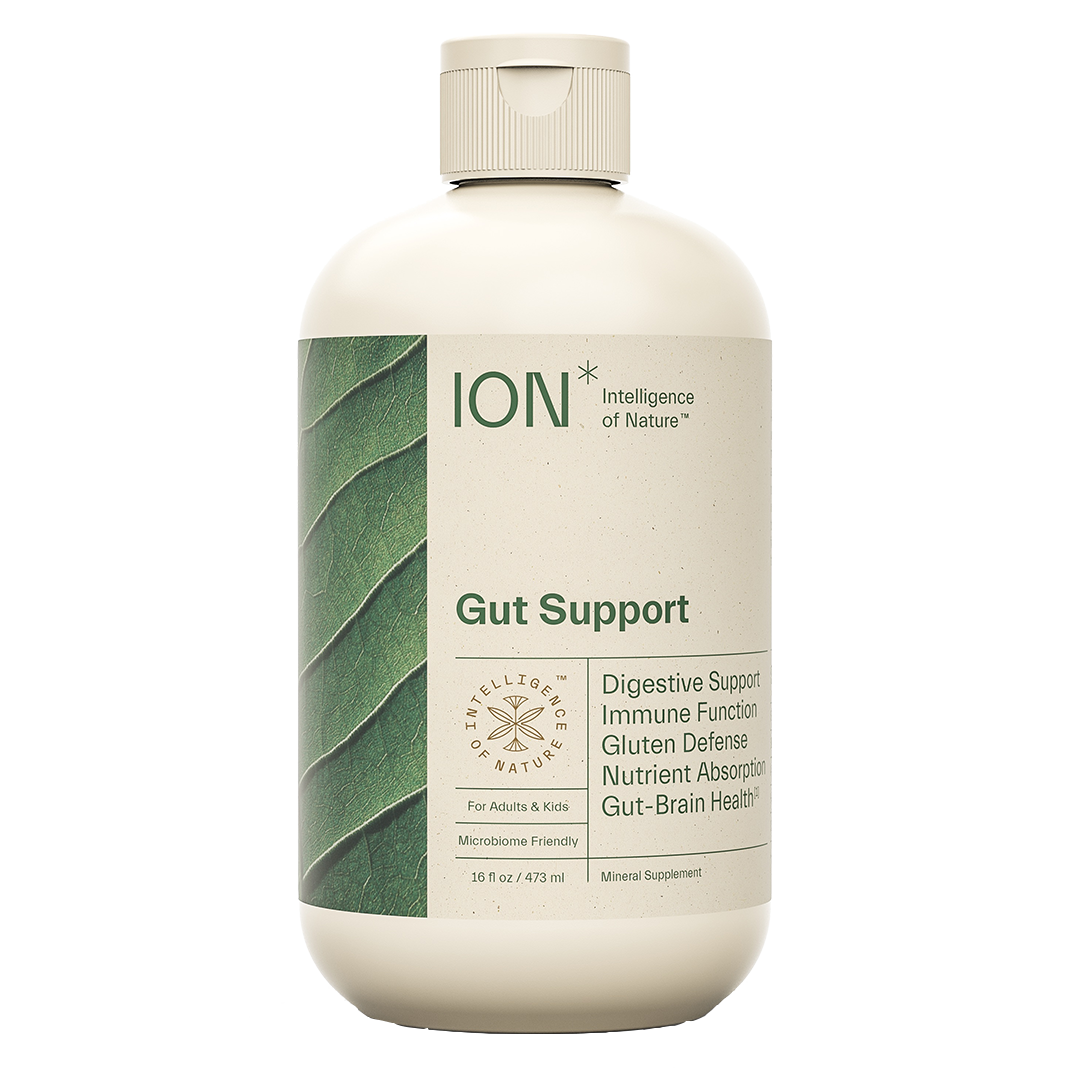 ION* Gut Support 16 fl oz